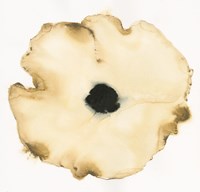 Suede Fleur I Fine Art Print