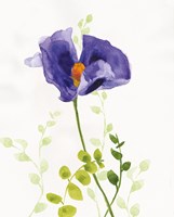 Some Favorites III Framed Print