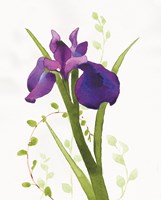 Some Favorites I Fine Art Print