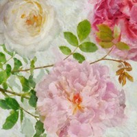 Peonies and Roses I Fine Art Print