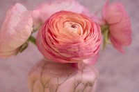 Small Flower Fine Art Print