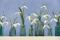 Snoflakes in Little Bottles Fine Art Print