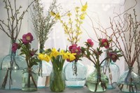 Spring Flowers in Glass Bottles I Fine Art Print