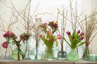 Spring Flowers in Glass Bottles II Fine Art Print