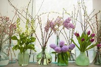 Spring Flowers in Glass Bottles III Fine Art Print