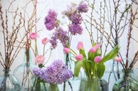 Spring Flowers in Glass Bottles VIII Fine Art Print