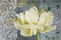 Classic Double White Tulip II Fine Art Print