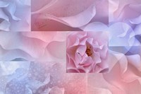 Daydream I Fine Art Print