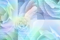 Daydream II Fine Art Print