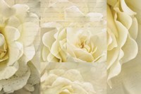 Daydream III Framed Print