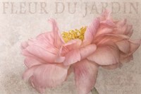 Garden Flower Fine Art Print