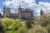 The Castle Of Vitre In Spring Fine Art Print