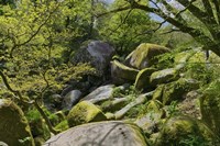 The Chaos Of  Huelgoat I Fine Art Print