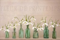 The Magic Of Spring Fine Art Print