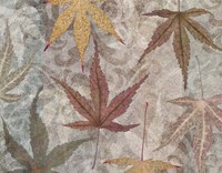 Autumn Leaves Maple Fine Art Print
