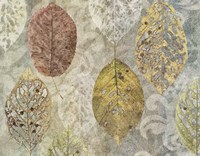 Autumn Leaves Fine Art Print