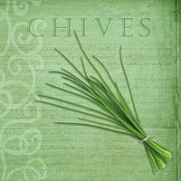Classic Herbs Chives Fine Art Print
