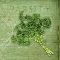 Classic Herbs Parsley Fine Art Print