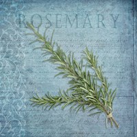 Classic Herbs Rosemary Fine Art Print