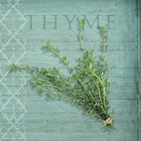 Classic Herbs Thyme Fine Art Print