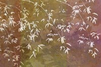 Floral Flurry Bronze Fine Art Print