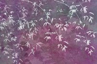 Floral Flurry Violet Fine Art Print