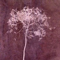 Hortensia Silhouette Wine Red Fine Art Print