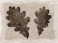 Sepia Oak Leaves Fine Art Print