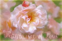 Fragrance Of Love Fine Art Print