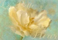 La Belle Fleur I Fine Art Print