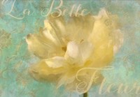 La Belle Fleur II Fine Art Print