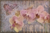 Orchid II Fine Art Print