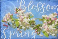 Spring Blossom Fine Art Print