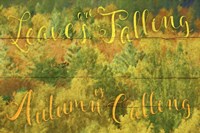 Leaves Are Falling Fine Art Print