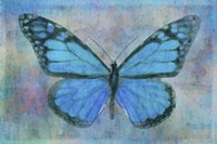 Blue Butterfly Watercolor Fine Art Print