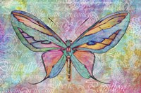 Colorful Butterfly Fine Art Print
