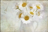Daisies Paris Vintage Fine Art Print