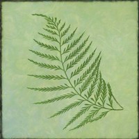 Fern Series Vintage I Fine Art Print