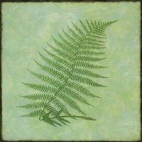 Fern Series Vintage III Fine Art Print