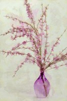 Pink Broom in Glass Fine Art Print
