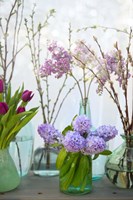 Spring Flowers in Glass Bottles V Fine Art Print