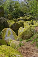 The Chaos Of  Huelgoat II Fine Art Print