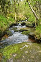 The Chaos Of  Huelgoat III Fine Art Print