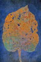 Leaf Orange on Blue Fine Art Print
