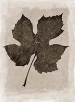 Sepia Grape Leaf Fine Art Print
