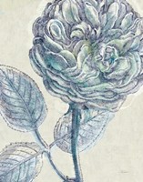 Belle Fleur III Crop Fine Art Print