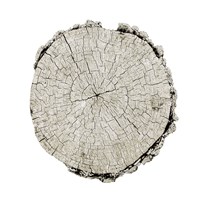 Woodland Years II on White Fine Art Print