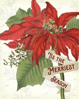 Yuletide V Fine Art Print