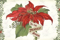 Yuletide I Fine Art Print