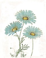 Bloemen Boek IV on White Fine Art Print